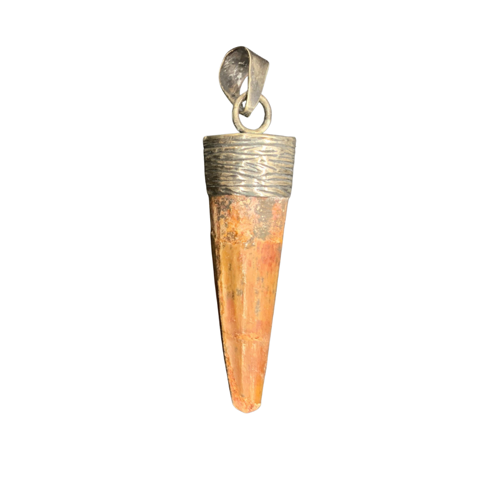 Spinosaurus Tooth Pendant | 2" | Sterling Silver | 100% Authentic