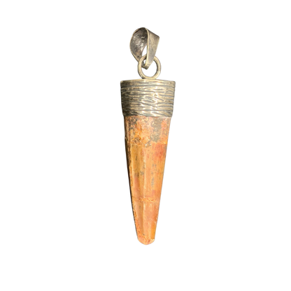 Spinosaurus Tooth Pendant | 2" | Sterling Silver | 100% Authentic