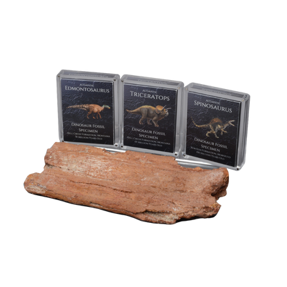 Cretaceous Period Dinosaur Gift Box Bundle