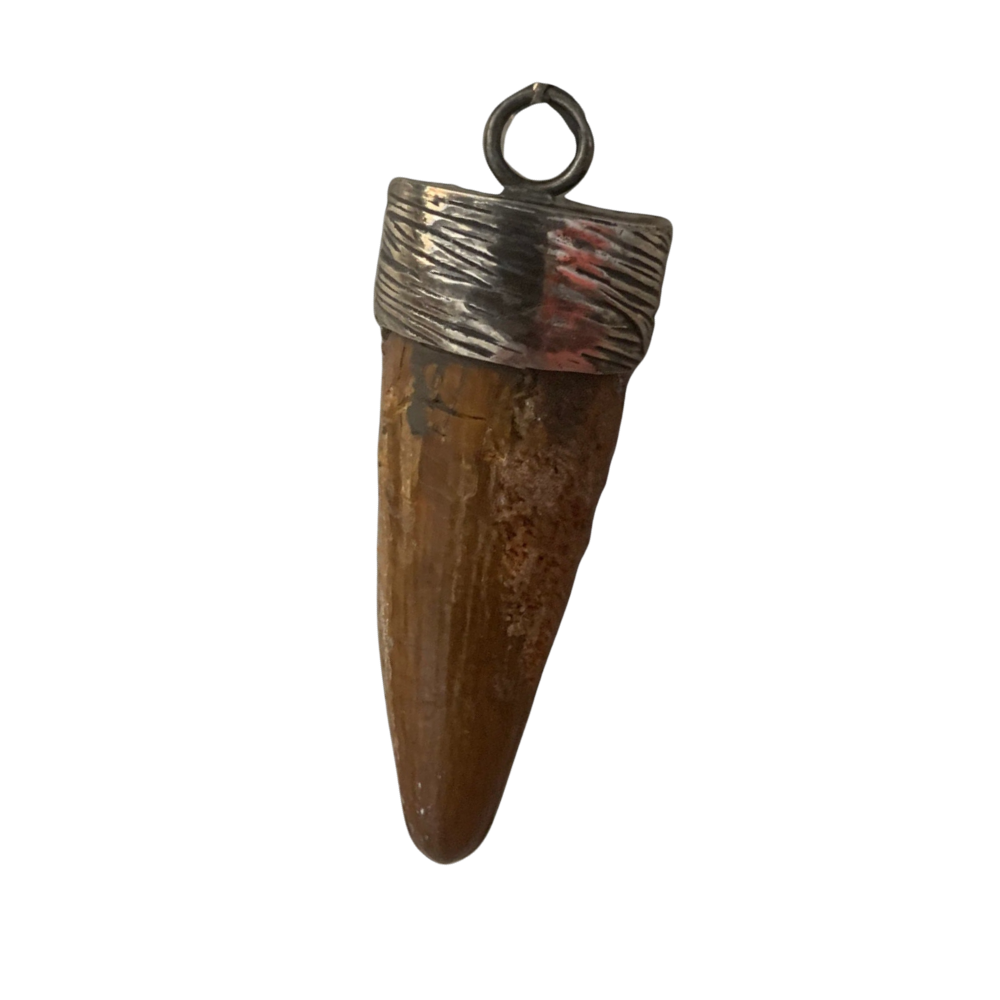 Spinosaurus Tooth Pendant | 2" | Sterling Silver | 100% Authentic