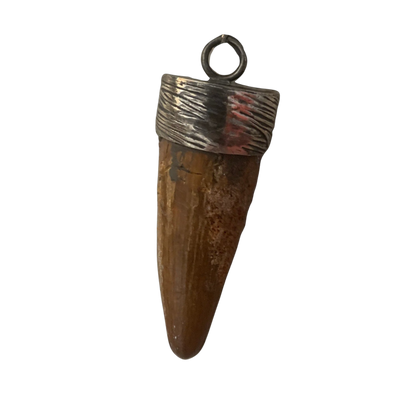 Spinosaurus Tooth Pendant | 2" | Sterling Silver | 100% Authentic