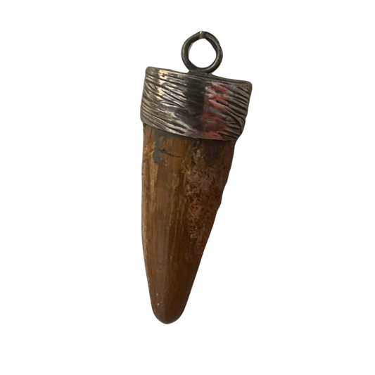 Spinosaurus Tooth Pendant | 2" | Sterling Silver | 100% Authentic