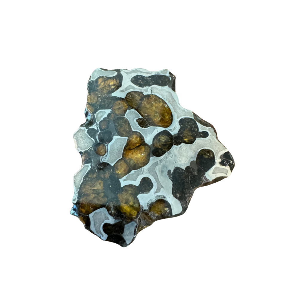 Brenham Pallasite Slice 30 grams in stand