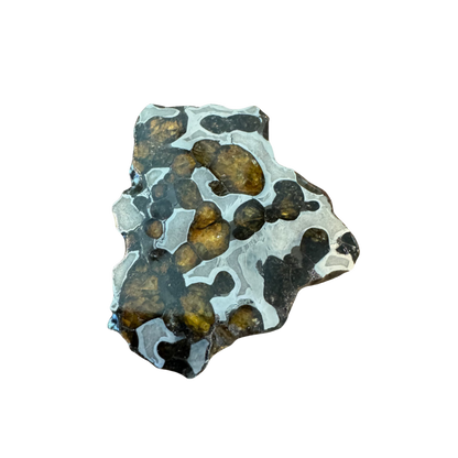 Brenham Pallasite Slice 30 grams in stand
