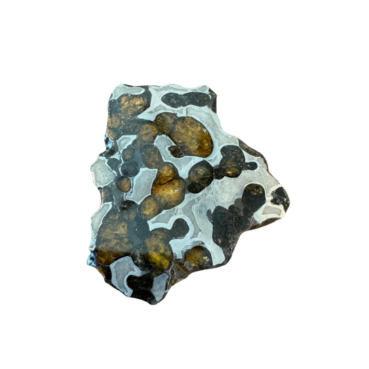 Brenham Pallasite Slice 30 grams in stand