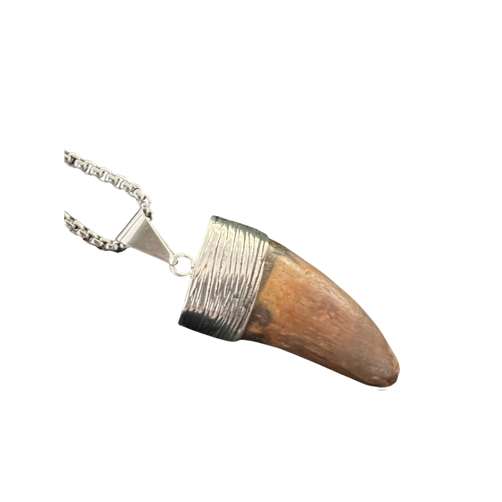 Carcharodontosaurus Tooth Pendant | 2" | Sterling Silver | 100% Authentic
