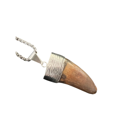 Carcharodontosaurus Tooth Pendant | 2" | Sterling Silver | 100% Authentic