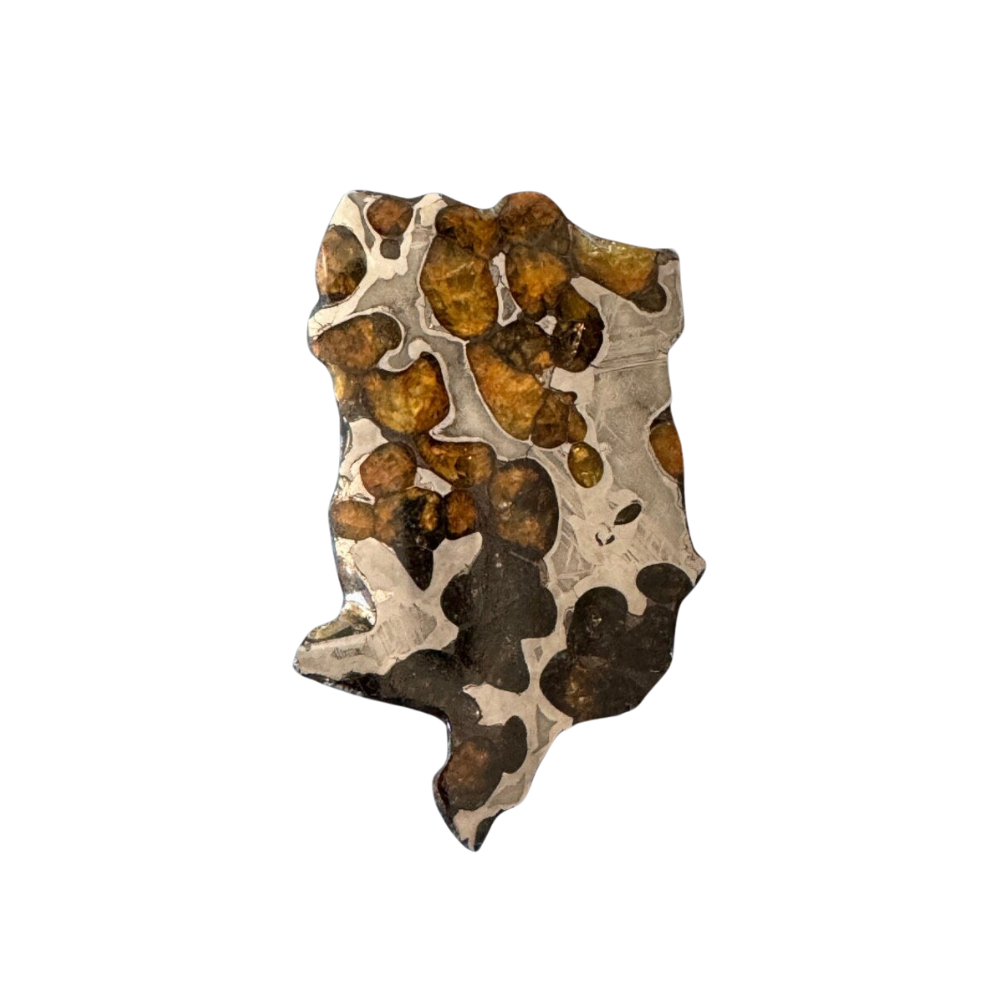 Brenham Pallasite Slice 25 grams in stand