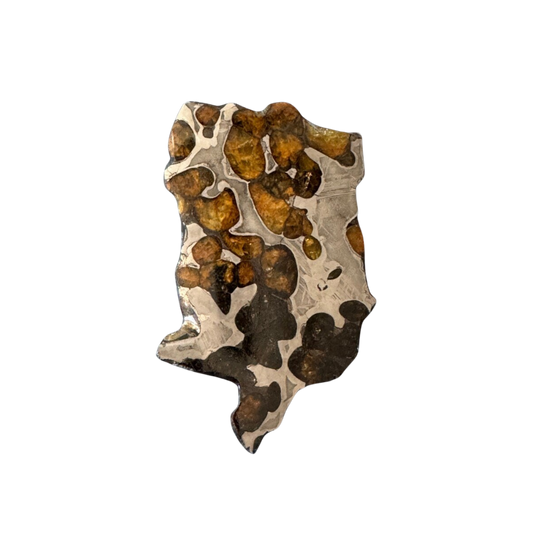Brenham Pallasite Slice 25 grams in stand
