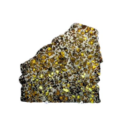 Brahin Pallasite Slice 563 grams
