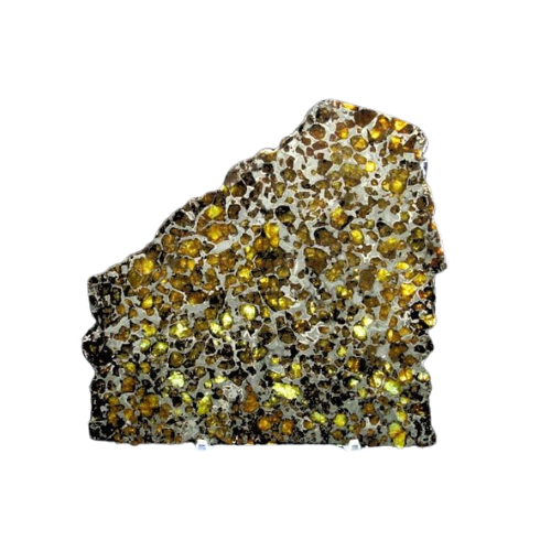 Brahin Pallasite Slice 563 grams