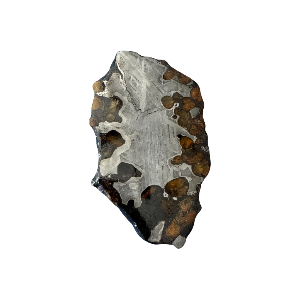 Brenham Pallasite Slice 53 grams in stand