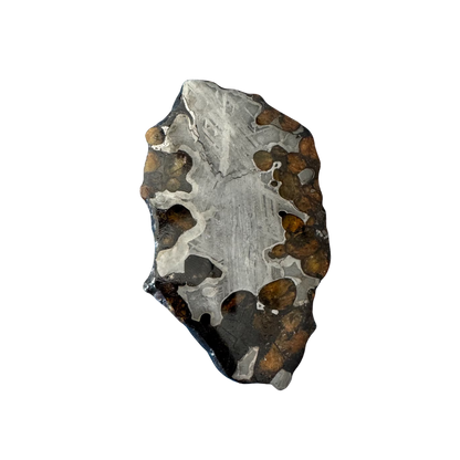 Brenham Pallasite Slice 53 grams in stand