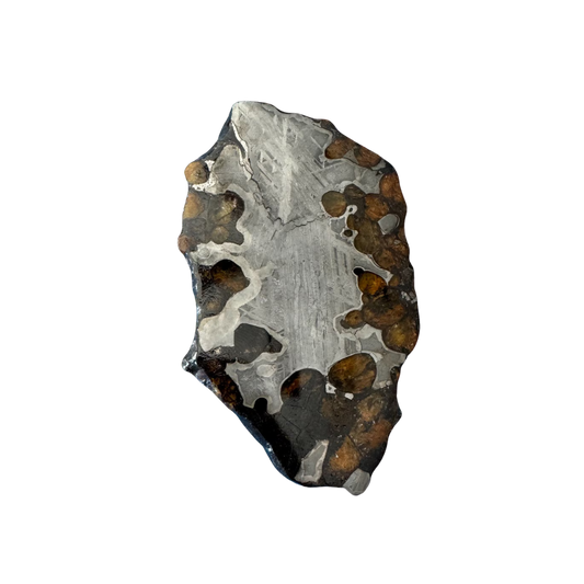 Brenham Pallasite Slice 53 grams in stand