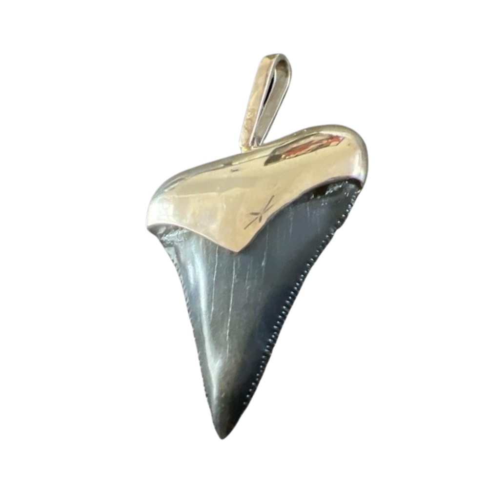 Megalodon Tooth Pendant | Sterling Silver
