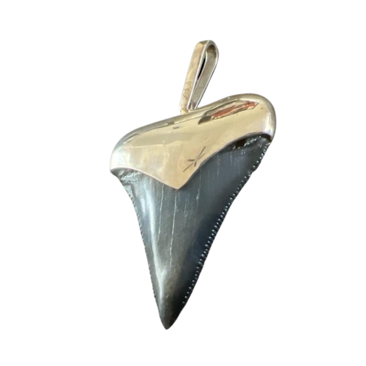 Megalodon Tooth Pendant | Sterling Silver