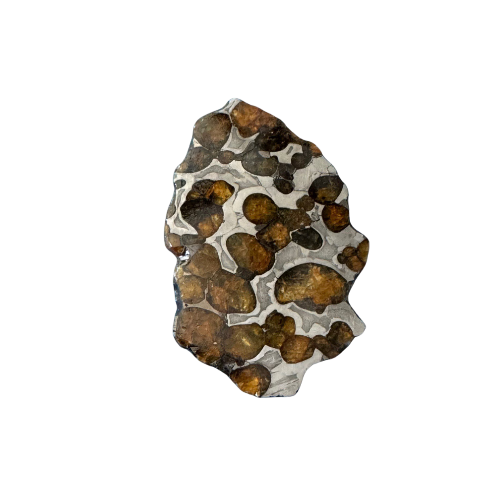 Brenham Pallasite Slice 29 grams in stand