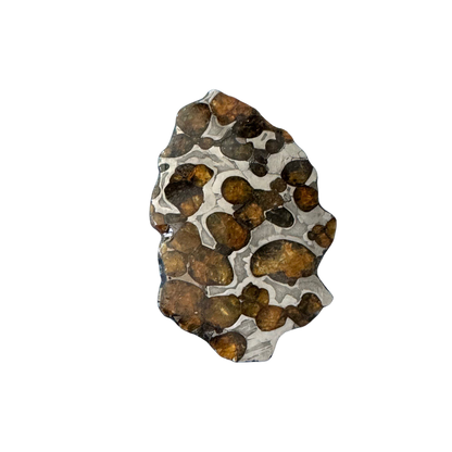 Brenham Pallasite Slice 29 grams in stand