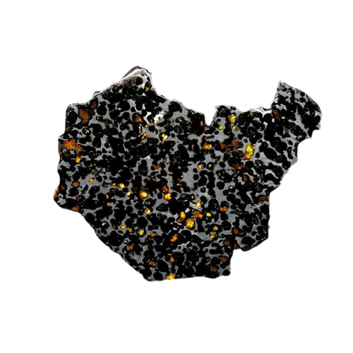 Sericho Pallasite Slice 236g