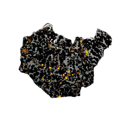 Sericho Pallasite Slice 236g