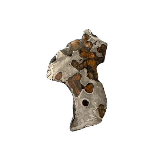 Brenham Pallasite Slice 28 grams in stand