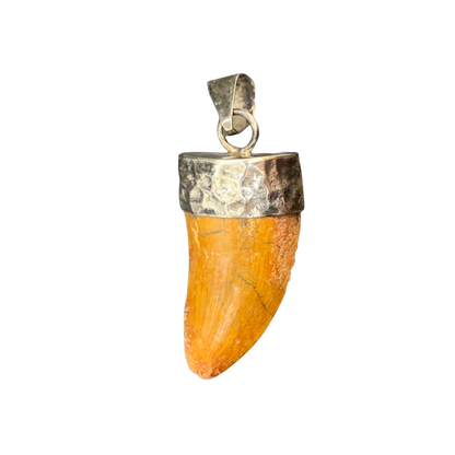 Carcharodontosaurus Tooth Pendant | 1.5" | Sterling Silver | 100% Authentic