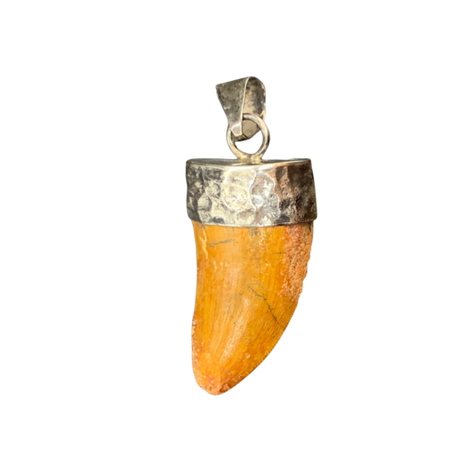 Carcharodontosaurus Tooth Pendant | 1.5" | Sterling Silver | 100% Authentic