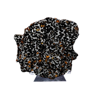 Sericho Pallasite Slice 395g