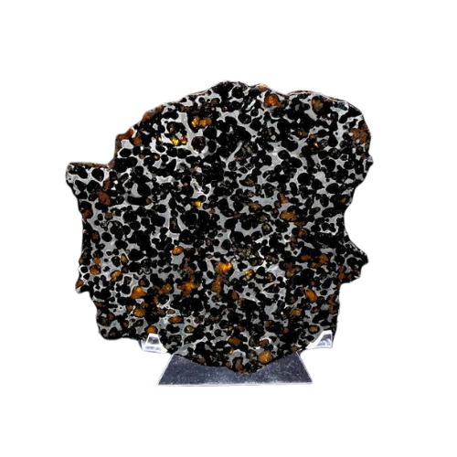 Sericho Pallasite Slice 395g