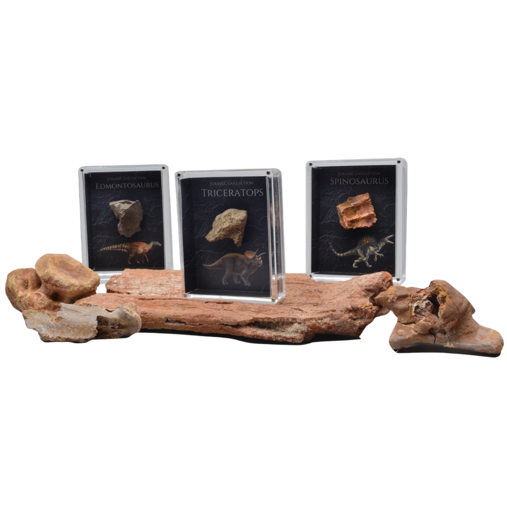 Cretaceous Period Dinosaur Gift Box Bundle
