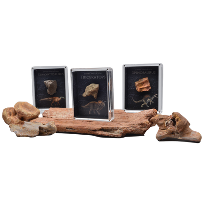 Cretaceous Period Dinosaur Gift Box Bundle