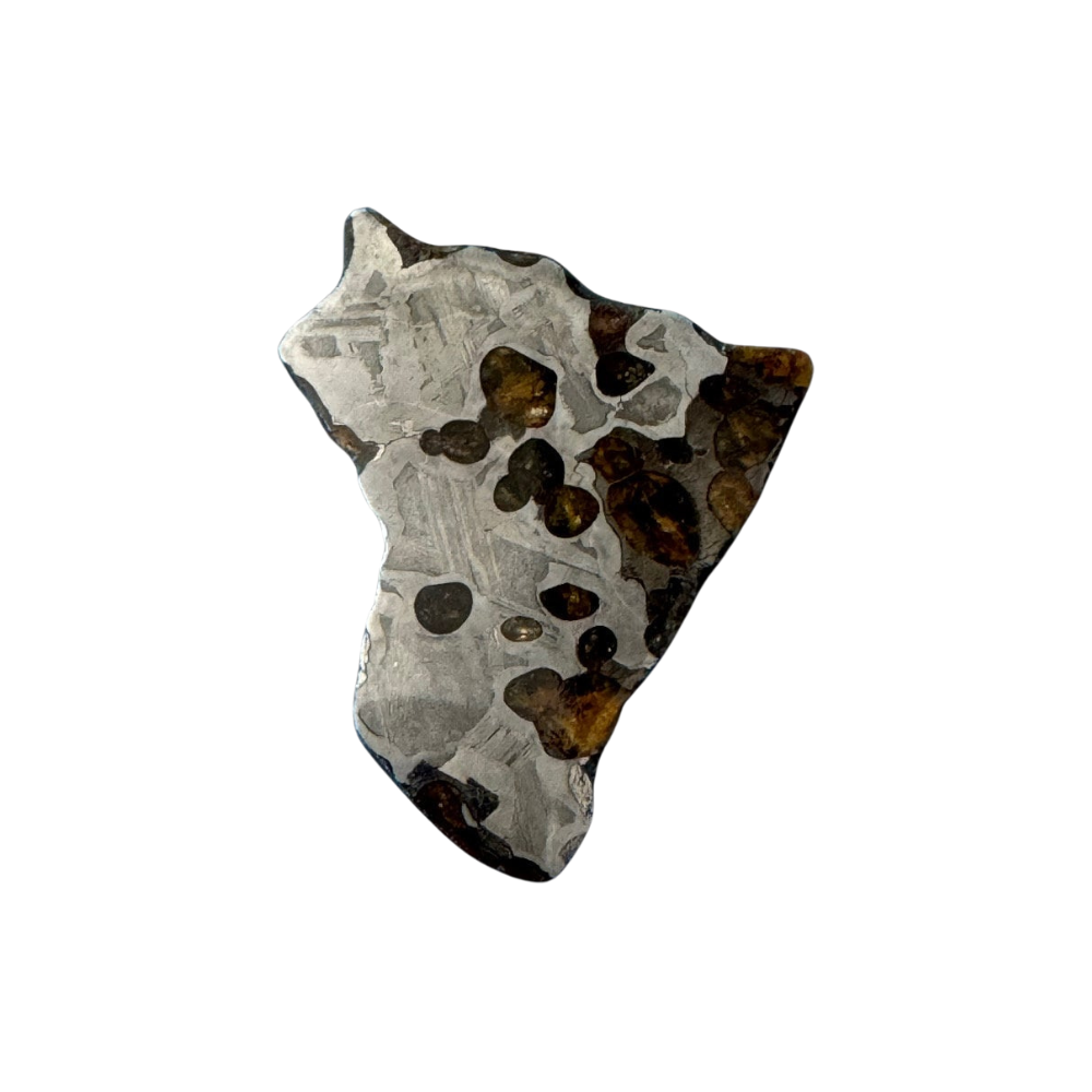 Brenham Pallasite Slice 15 grams in stand