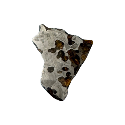 Brenham Pallasite Slice 15 grams in stand