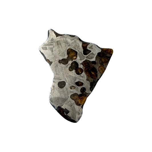 Brenham Pallasite Slice 15 grams in stand