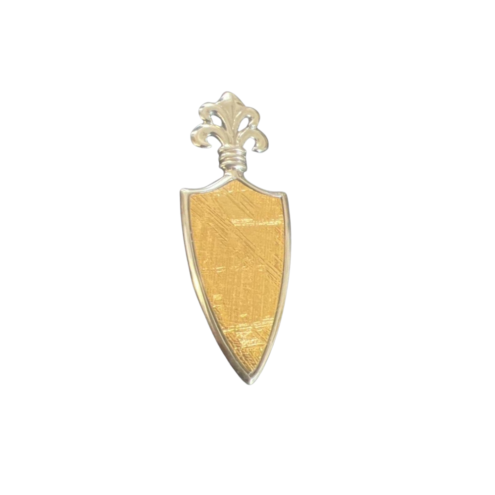 Shield Muonionalusta Meteorite Pendant | Sterling Silver