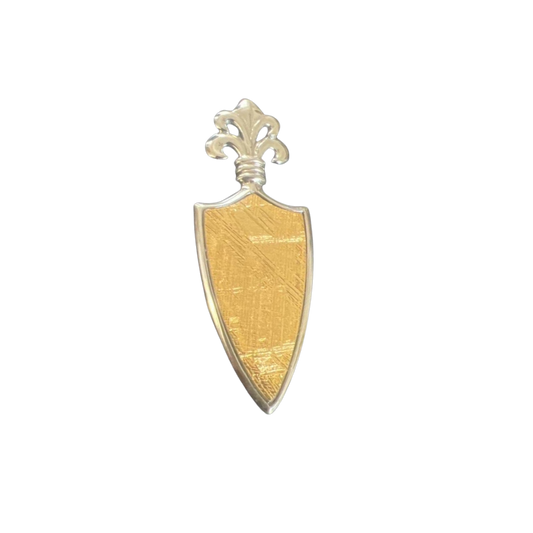 Shield Muonionalusta Meteorite Pendant | Sterling Silver