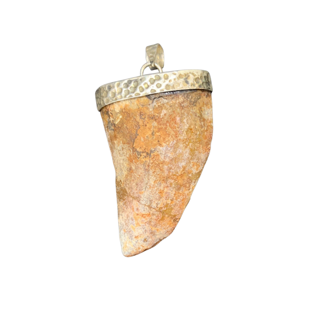 Carcharodontosaurus Tooth Pendant | 2" | Sterling Silver | 100% Authentic