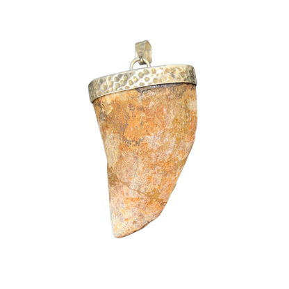 Carcharodontosaurus Tooth Pendant | 2" | Sterling Silver | 100% Authentic