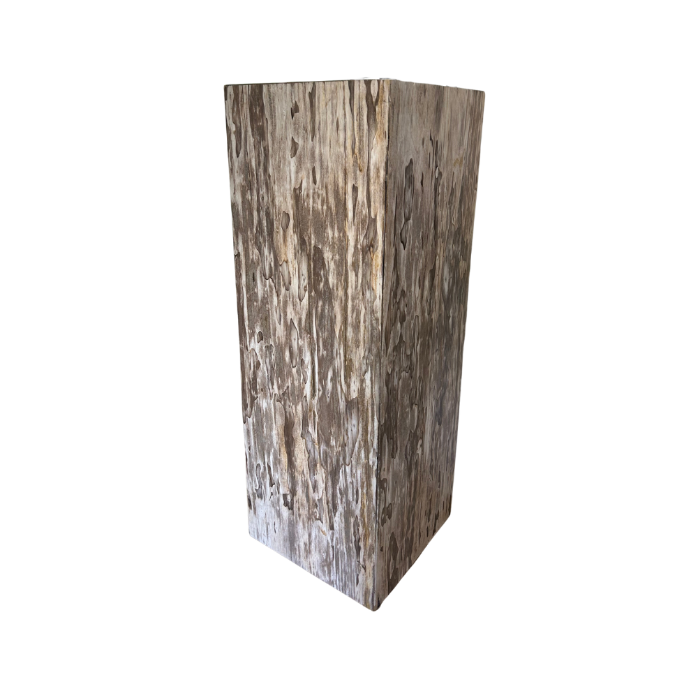 Petrified Wood Art Pedestal