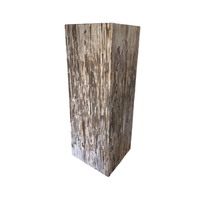 Petrified Wood Art Pedestal