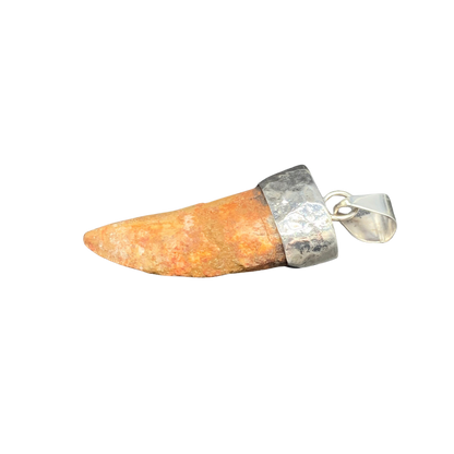Carcharodontosaurus Tooth Pendant | 2" | Sterling Silver | 100% Authentic