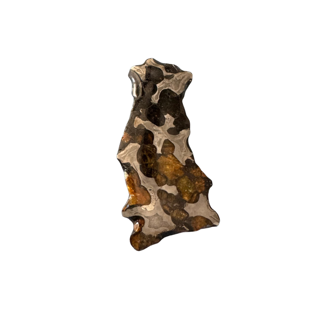 Brenham Pallasite Slice 23 grams in stand