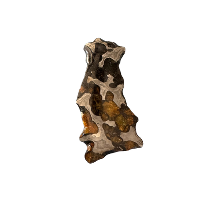 Brenham Pallasite Slice 23 grams in stand