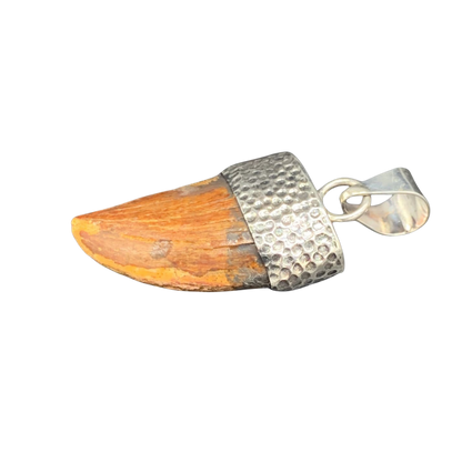 Carcharodontosaurus Tooth Pendant | Sterling Silver | 100% Authentic