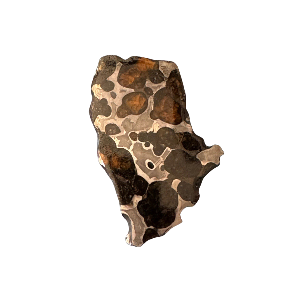 Brenham Pallasite Slice 24 grams in stand