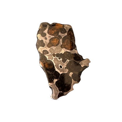 Brenham Pallasite Slice 24 grams in stand