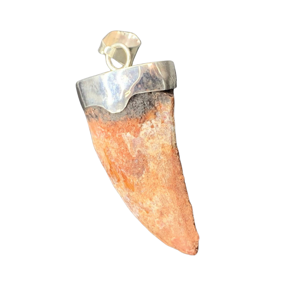 Carcharodontosaurus Tooth Pendant | 2" and Bulky | Sterling Silver | 100% Authentic