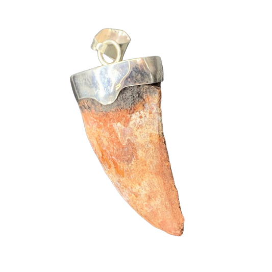 Carcharodontosaurus Tooth Pendant | 2" and Bulky | Sterling Silver | 100% Authentic