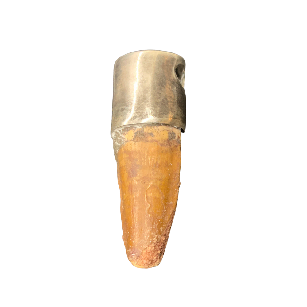 Spinosaurus Tooth Pendant | 2" | Sterling Silver | 100% Authentic