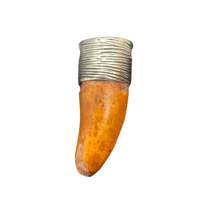 Carcharodontosaurus Tooth Pendant | Sterling Silver | 100% Authentic
